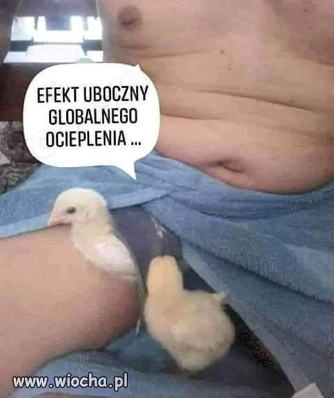 Efekt uboczny globalnego ocieplenia. 