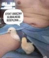 Efekt uboczny globalnego ocieplenia. 