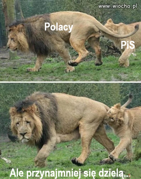 Dobra zmiana