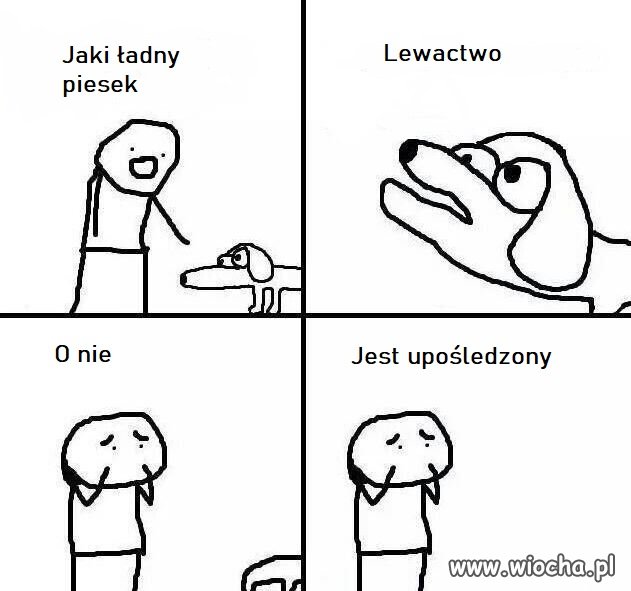 Jeśli ktoś jeszcze poważnie używa słowa lewactwo