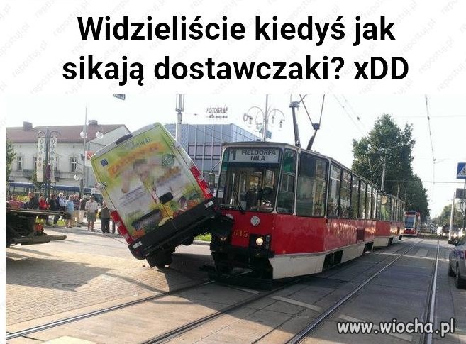 Dostawczaki to samce ?