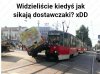 Dostawczaki to samce ?