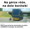Stopień niepełnosprawności?