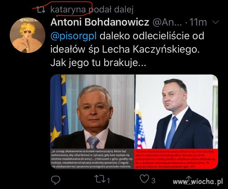 W kampanii wszystko wyłazi...