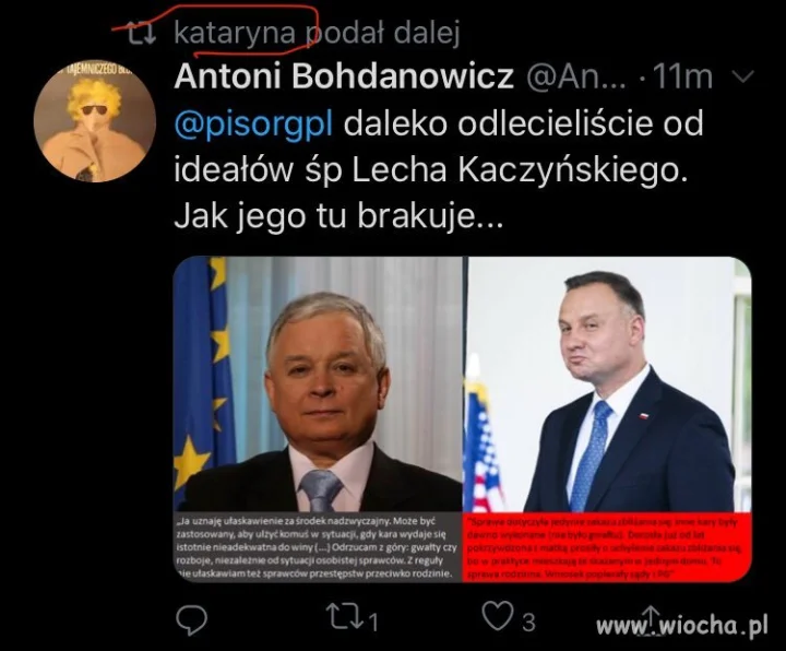 W kampanii wszystko wyłazi...