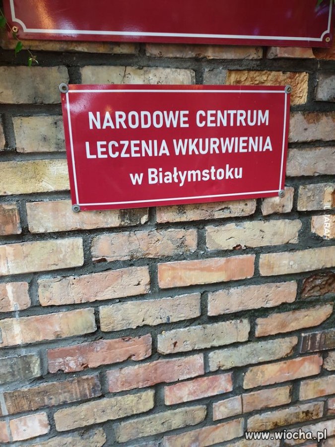 Dzisiaj możemy się wyleczyć 