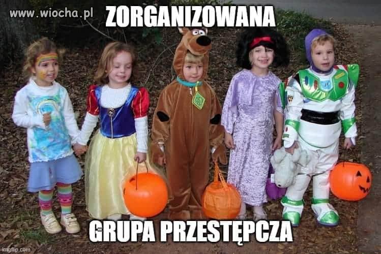 Zorganizowana grupa przestępcza