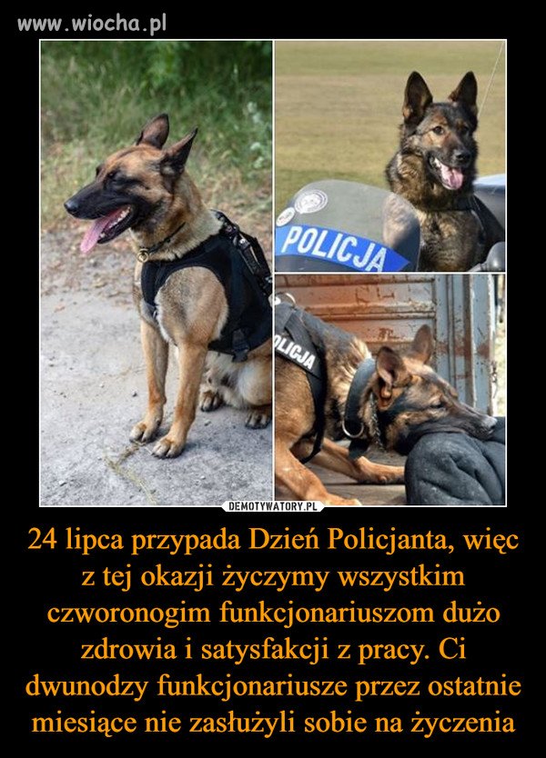 Z okazji Dnia Policjanta