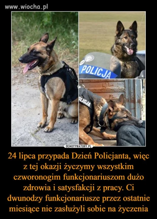 Z okazji Dnia Policjanta
