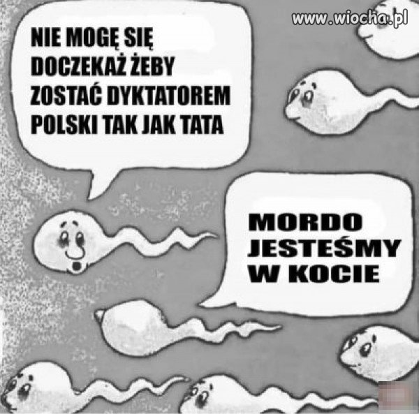 Takie tam 