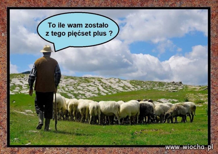 Wyborcze