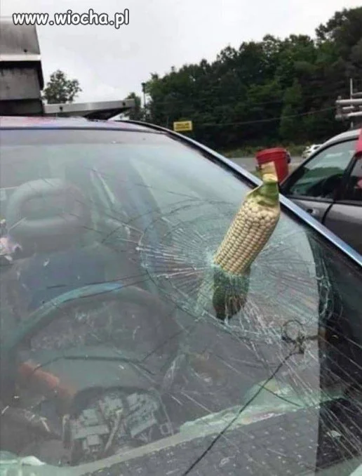 Latająca kukurydza
