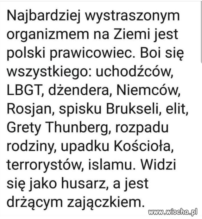 Czy tylko mi się tak wydaje