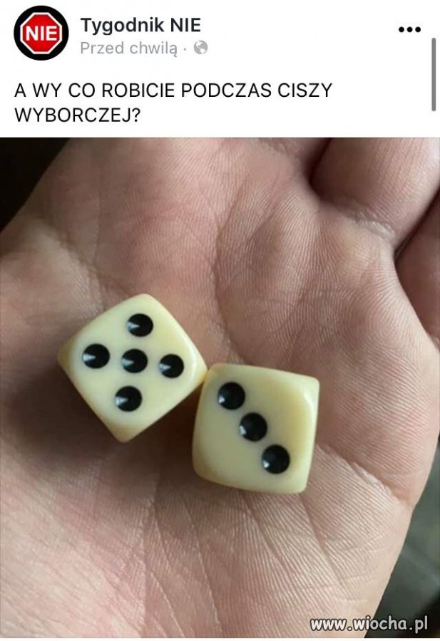 Cisza wyborcza