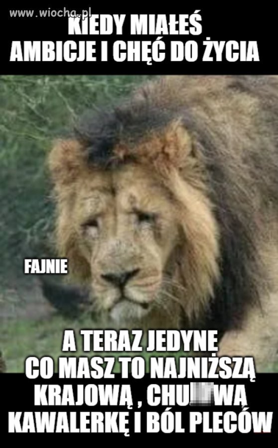 To nie jest kraj dla starych ludzi