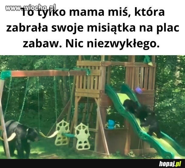 Prawaki mogą mieć problem kiedy