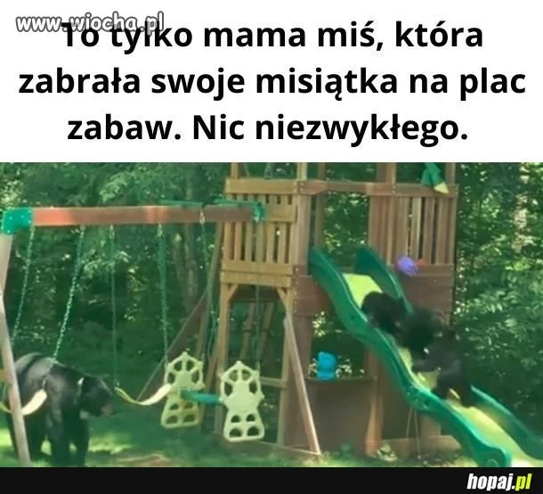Prawaki mogą mieć problem kiedy