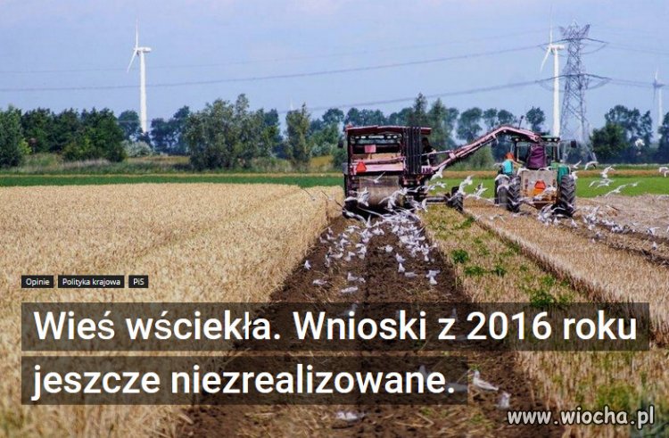 Producenci tracą wiarę, że dostaną jakieś wsparcie