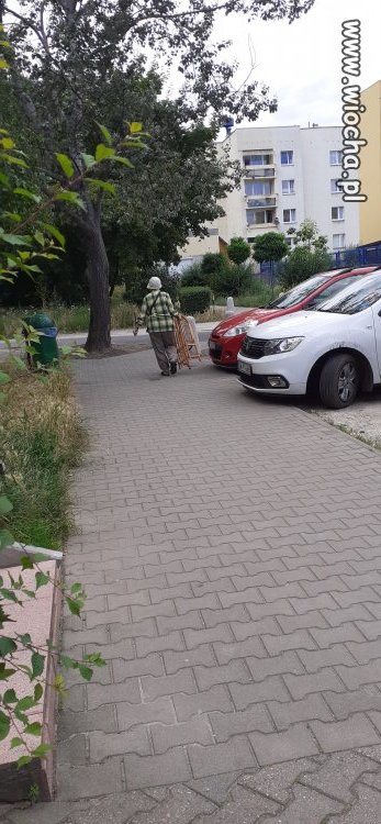 Idę spokojnie na wybory