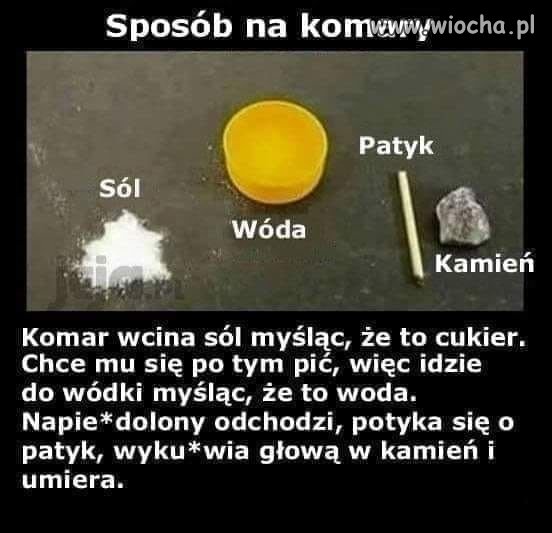 Wakacyjne klimaty