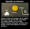 Wakacyjne klimaty