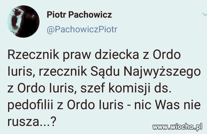Dewocja nigdy nie poczynała sobie tak śmiało ...