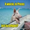 Wakacje w pełni
