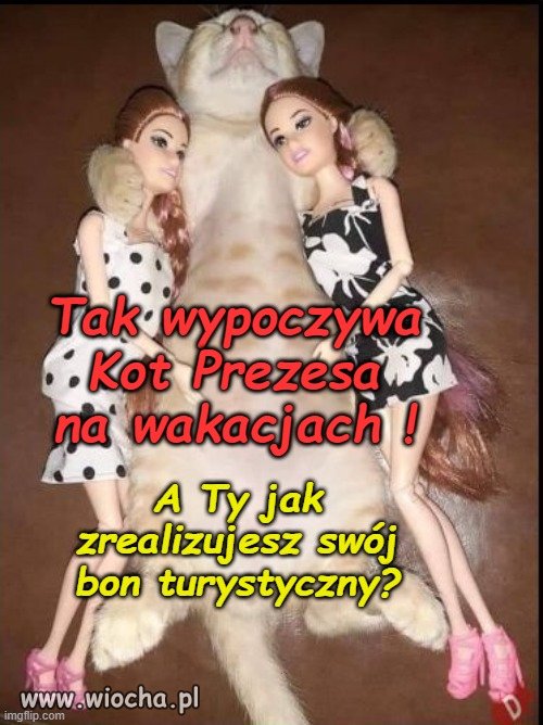 A Wy jak spędzacie urlop