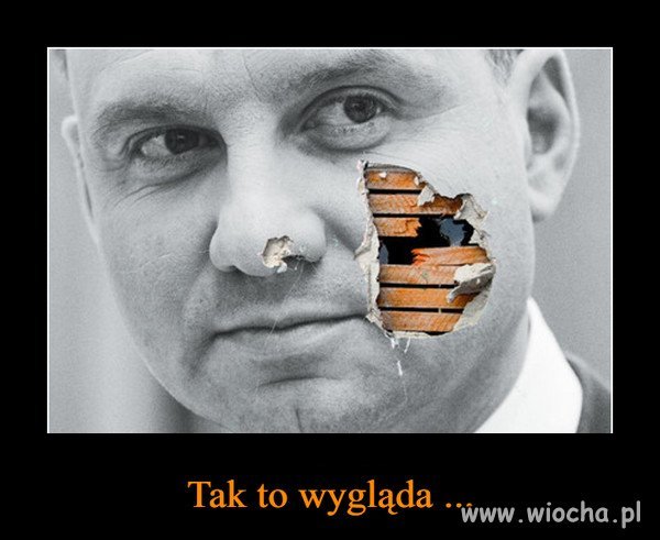 Duda 