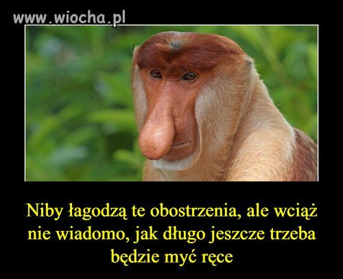 Januszowe Heheszki