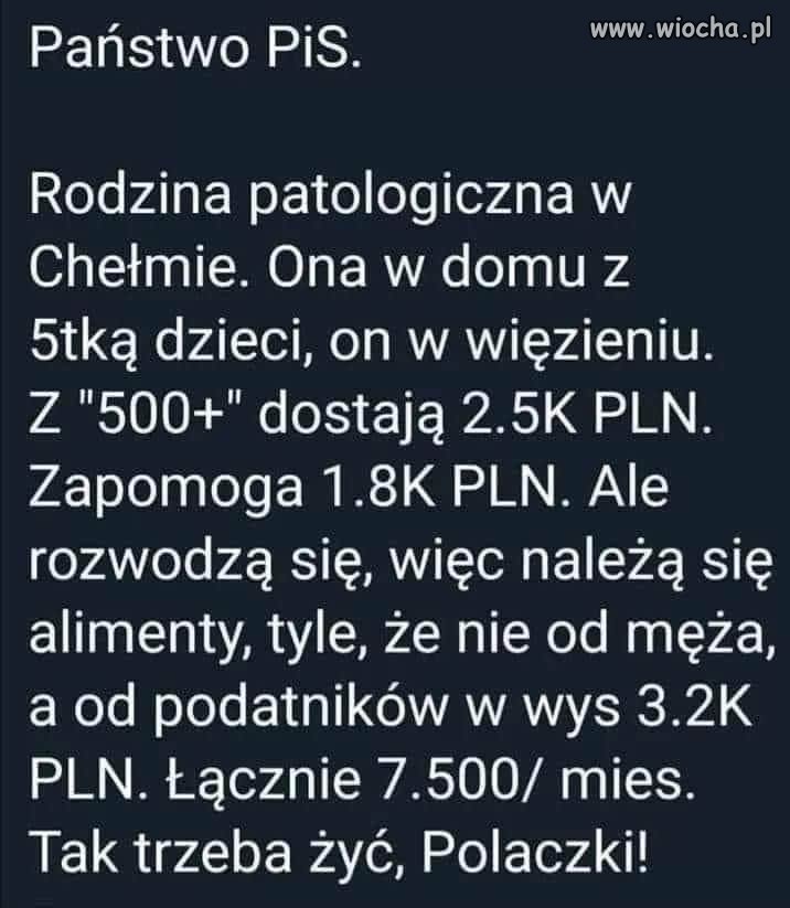 Bez tytułu. 