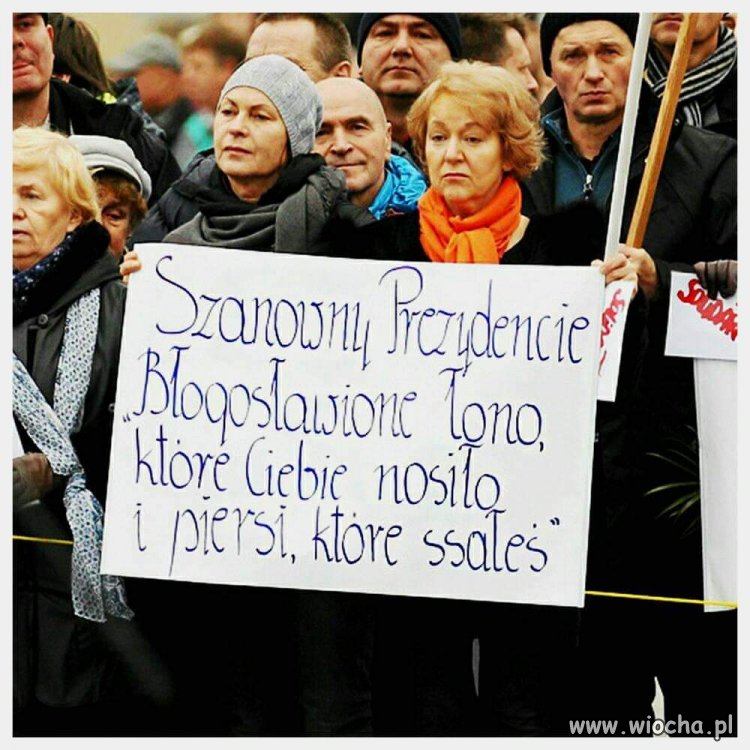 Elektorat 