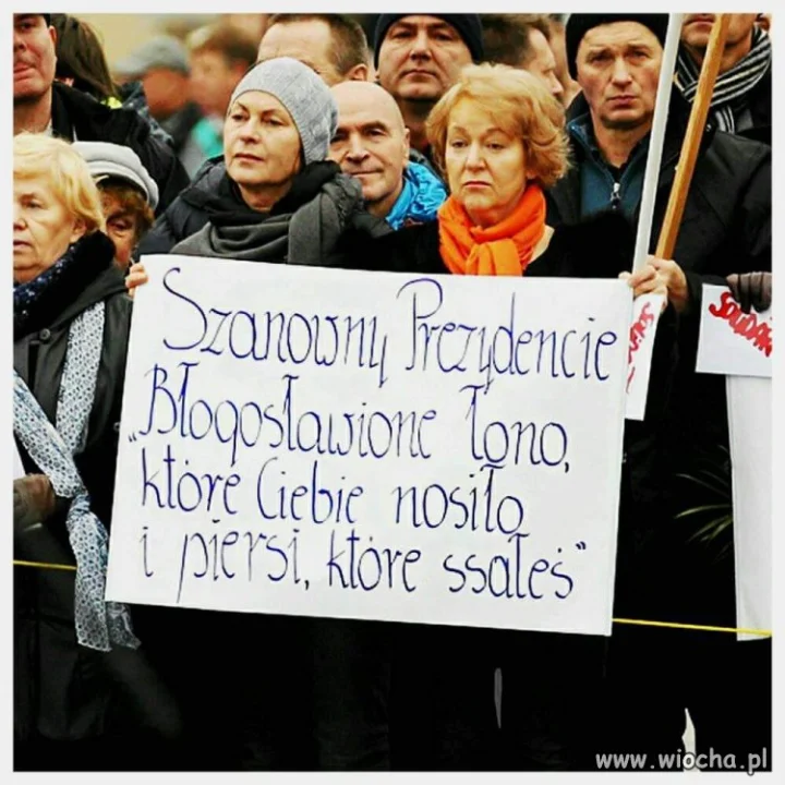 Elektorat 