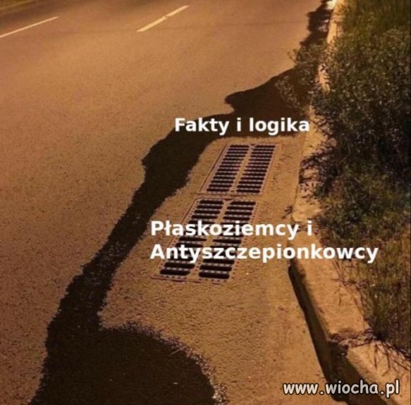Fakty i logika
