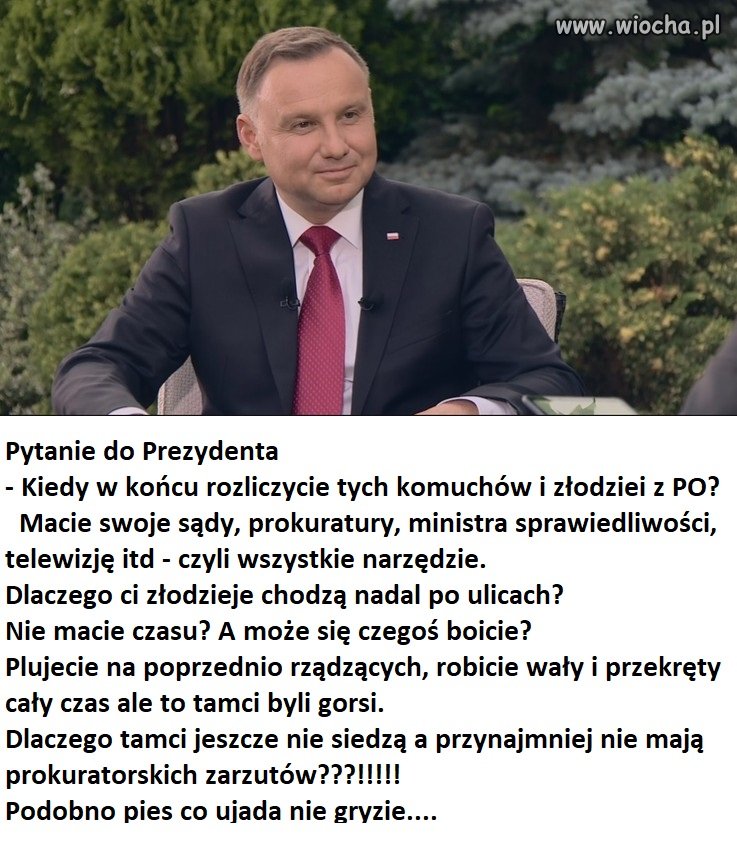 Ważniejsza walka z LGBT...