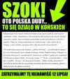Bez tytułu. 