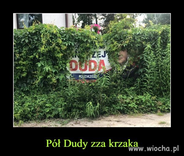 Duda