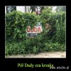 Duda