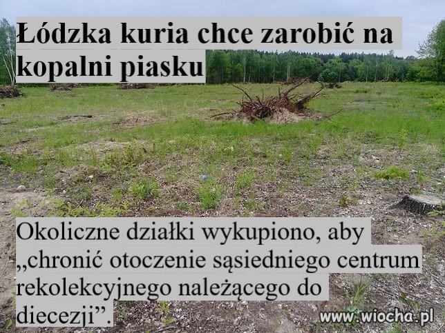 Biznesy czarnych