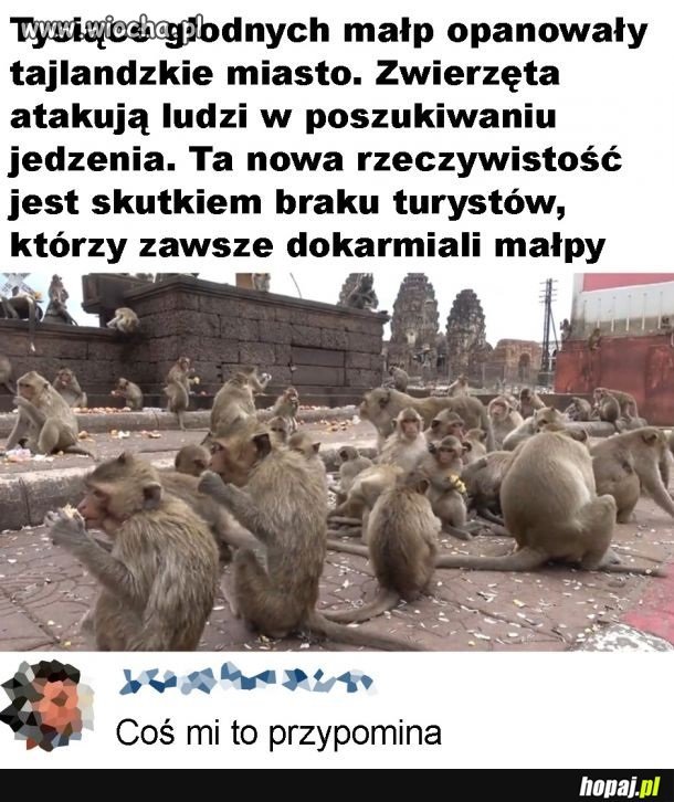 Mnie tez coś to przypomina z polskiej ...