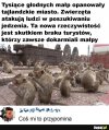 Mnie tez coś to przypomina z polskiej ...