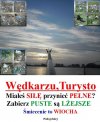 Czysta wiocha