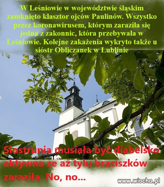 Koronawirus w zakonie   