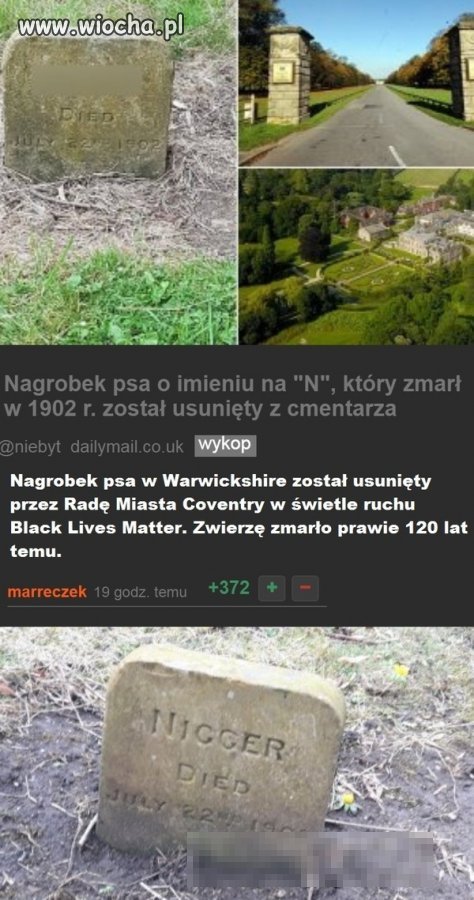 Poprawności politycznej
