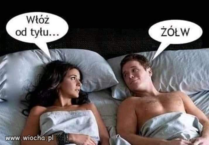 Trzeba odpocząć od polityki. 