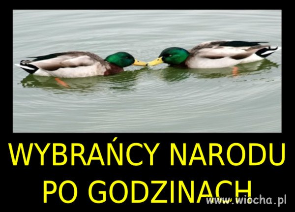 LGBT nie dobre, ale...