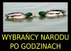 LGBT nie dobre, ale...