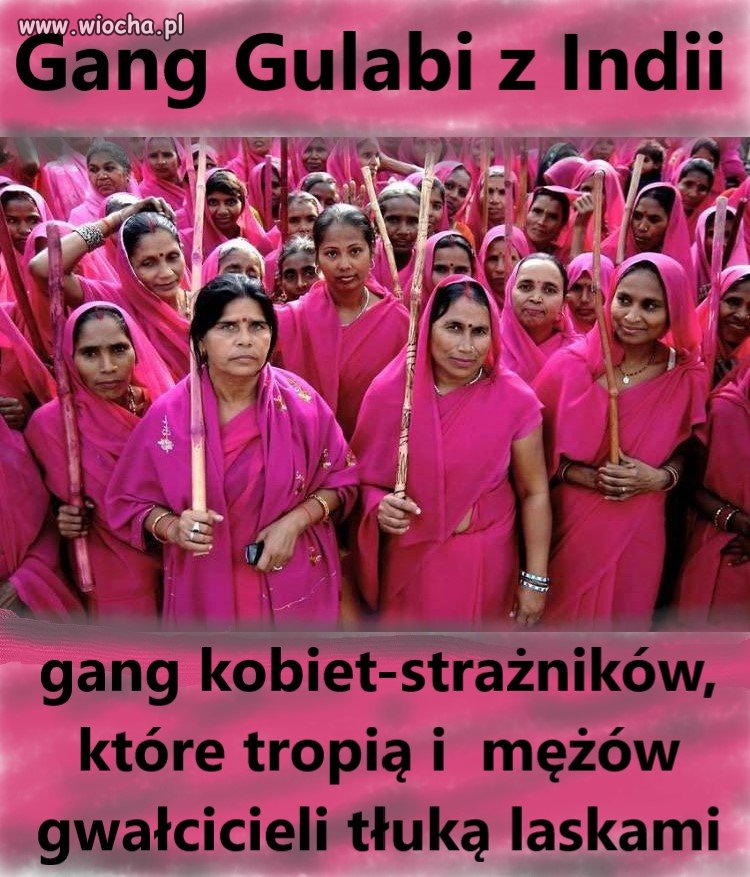 Gang Gulabi z Indii 