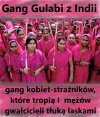Gang Gulabi z Indii 