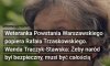 Polacy muszą zagłosować za wolnością i szacunkiem.